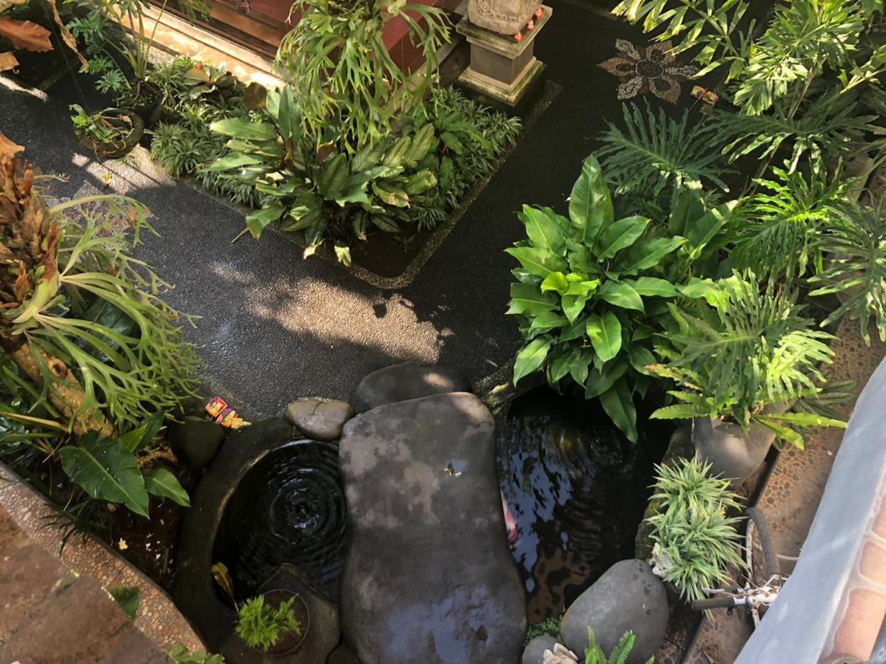 Depa House Hotel Ubud  Luaran gambar